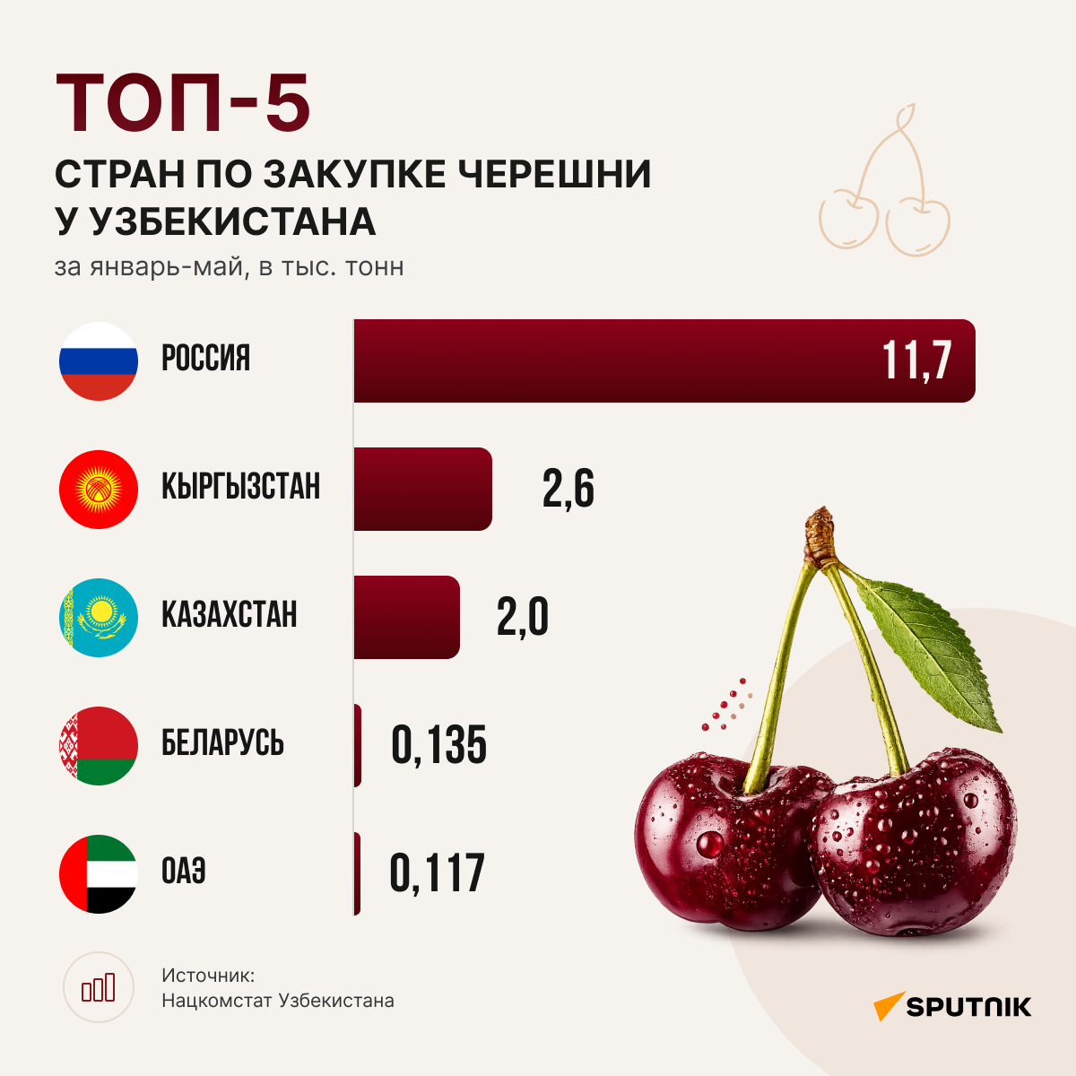 Топ-5 стран по закупке черешни у Узбекистана - Sputnik Узбекистан