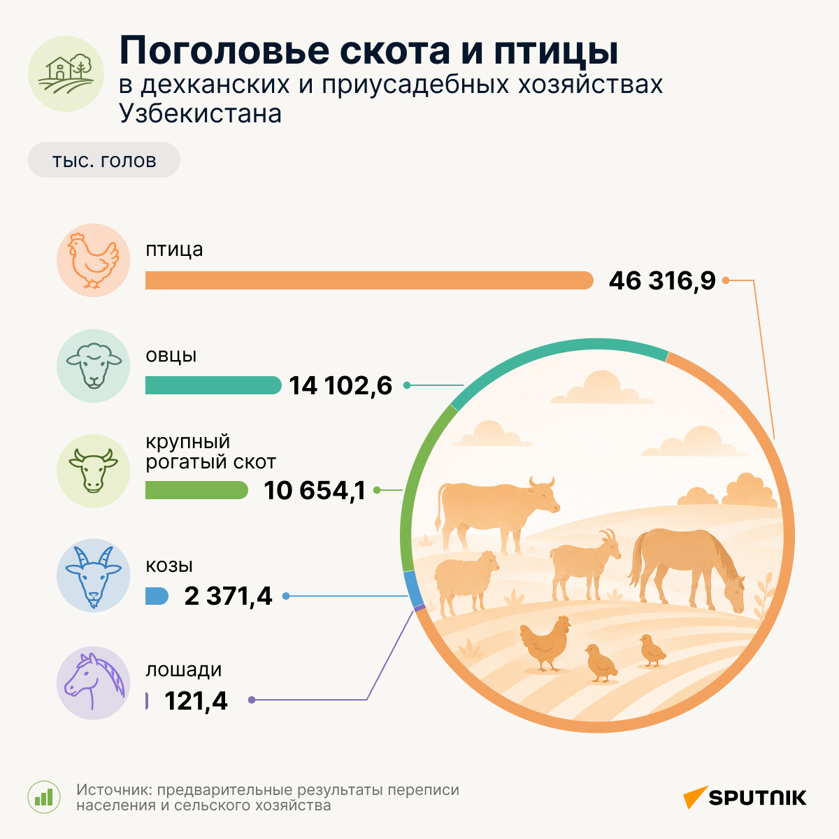 Поголовье скота и птицы в дехканских и приусадебных хозяйствах Узбекистана - Sputnik Узбекистан