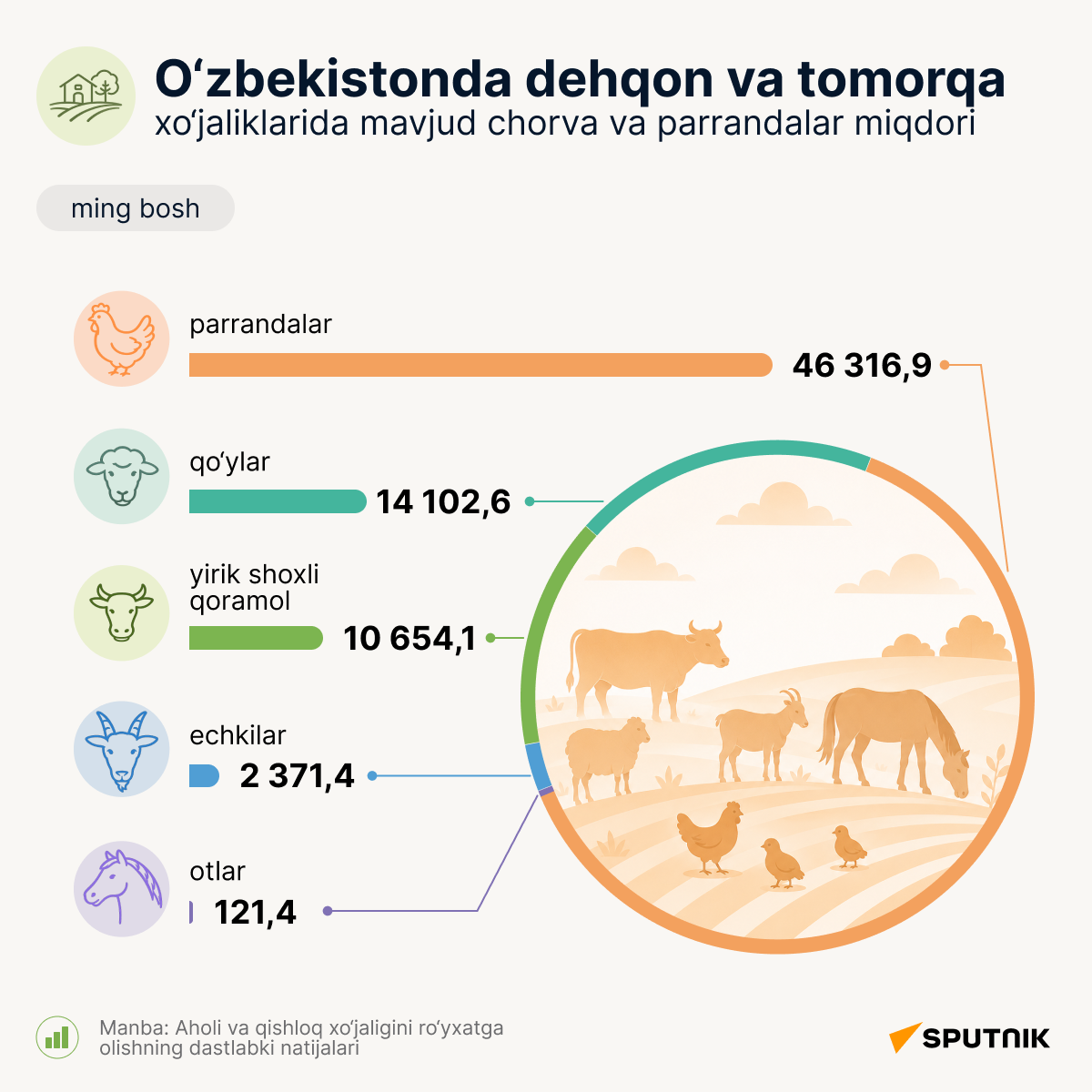 Pogolovye skota i ptisi v dexkanskix i priusadebnix xozaystvax Uzbekistana - Sputnik O‘zbekiston