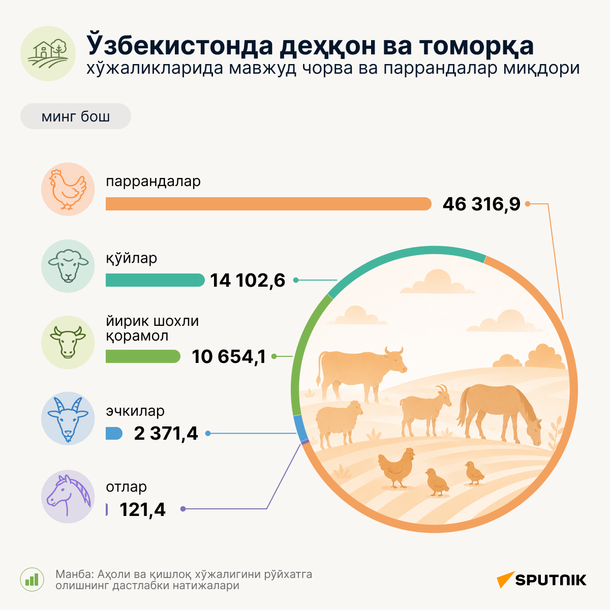 Поголовье скота и птицы в дехканских и приусадебных хозяйствах Узбекистана - Sputnik Ўзбекистон