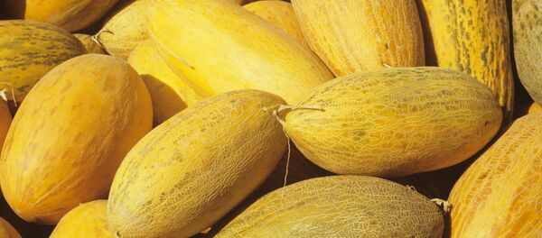Дыни - Sputnik Узбекистан