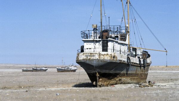Остовы кораблей на месте высушенного Аральского моря. - Sputnik Ўзбекистон