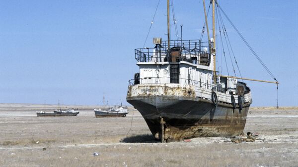Остовы кораблей на месте высушенного Аральского моря. - Sputnik Узбекистан