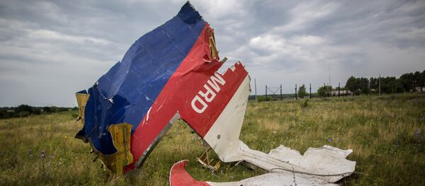 Поисковые работы на месте крушения Boeing 777 Поисковые работы на месте крушения Boeing 777 - Sputnik Узбекистан