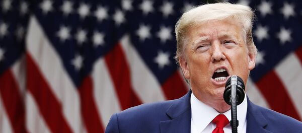 Брифинг президента США Дональда Трампа Брифинг президента США Дональда Трампа - Sputnik Ўзбекистон