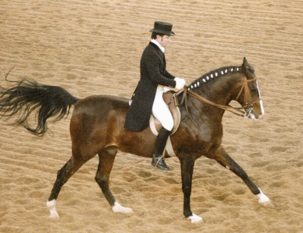 Почему призер Олимпиады-80 Угрюмов отдал олимпийскую Волгу армянину из Ташкента - Sputnik Узбекистан