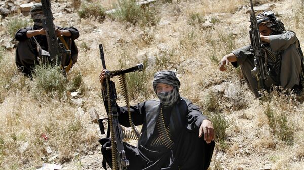 Боевики движения Талибан* - Sputnik Узбекистан