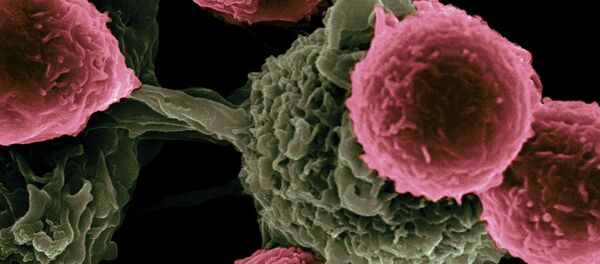Раковые клетки - Sputnik Ўзбекистон