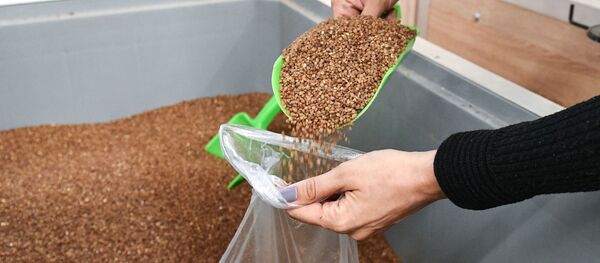 Гречневая крупа, продающаяся на развес - Sputnik Ўзбекистон