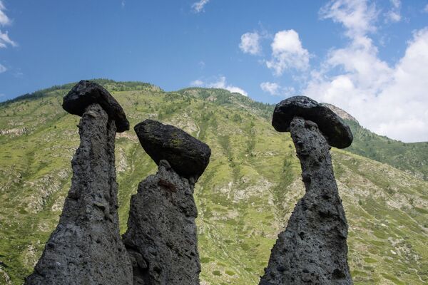 Каменные грибы в долине реки Чулышман в Республике Алтай - Sputnik Узбекистан