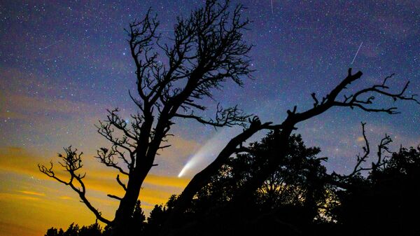 Kometa NeoWise v nebe nad Krasnodarskim krayem - Sputnik O‘zbekiston