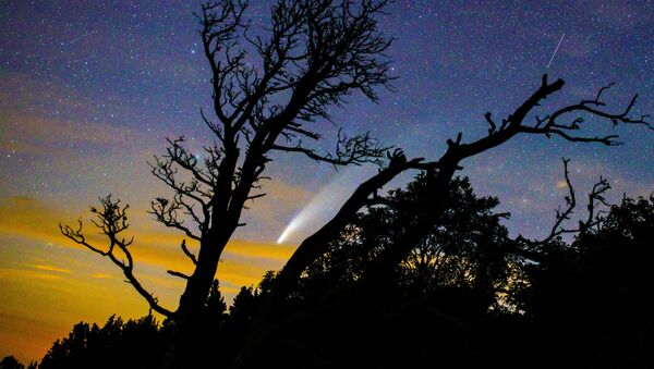 Комета NeoWise в небе над Краснодарским краем. - Sputnik Узбекистан