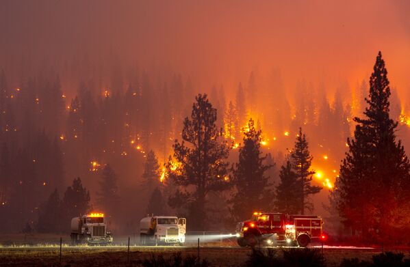 Тушение лесного пожара в Калифорнии. - Sputnik Узбекистан