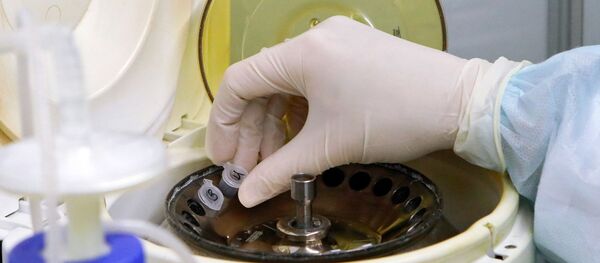 Биолог лаборатории особо опасных инфекций выделяет нуклеиновые кислоты (РНК/ДНК) из пробы биоматериала человека Биолог лаборатории особо опасных инфекций выделяет нуклеиновые кислоты (РНК/ДНК) из пробы биоматериала человека - Sputnik Узбекистан