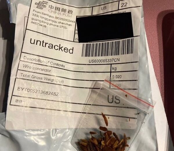 Жители США получили по почте таинственные посылки с семенами из Узбекистана - Sputnik Узбекистан