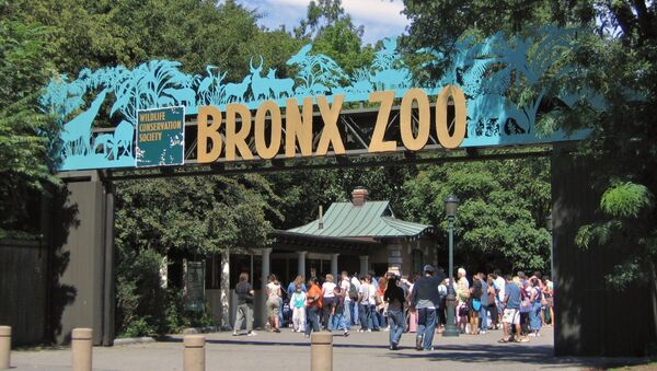Входные ворота в зоопарк Бронкса - Sputnik Ўзбекистон