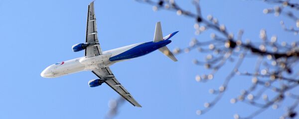 Самолёт в небе - Sputnik Узбекистан