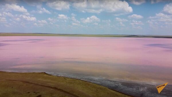 Въезд запрещен: как выглядит опустевшее розовое озеро Кобейтуз - Sputnik Узбекистан