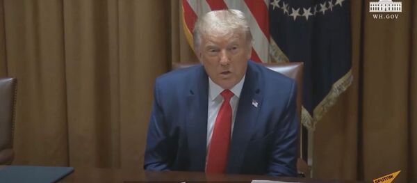 США захотели прибрать к рукам TikTok - Sputnik Узбекистан