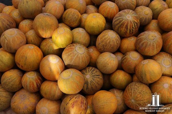 В Бухаре проходит фестиваль Праздник дыни – карантинные меры соблюдены В Бухаре проходит фестиваль Праздник дыни – карантинные меры соблюдены - Sputnik Узбекистан