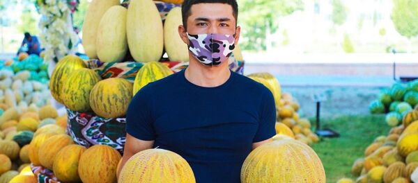 Мы на карантине, но поем оду дыне: как проходит фестиваль бухарской сладости Мы на карантине, но поем оду дыне: как проходит фестиваль бухарской сладости - Sputnik Узбекистан