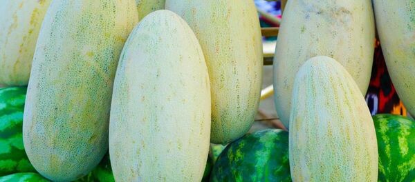 Фестиваль дыни в Бухаре в карантинном режиме Фестиваль дыни в Бухаре в карантинном режиме - Sputnik Узбекистан