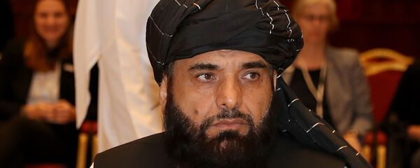 Официальный представитель политического офиса движения Талибан* Сухейль Шахин - Sputnik Узбекистан