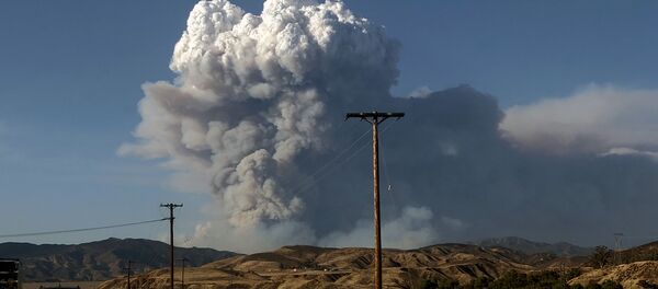Дым от лесных пожаров, вызванных аномальной жарой, над Лос-Анджелесом, Калифорния, США Дым от лесных пожаров, вызванных аномальной жарой, над Лос-Анджелесом, Калифорния, США - Sputnik Ўзбекистон