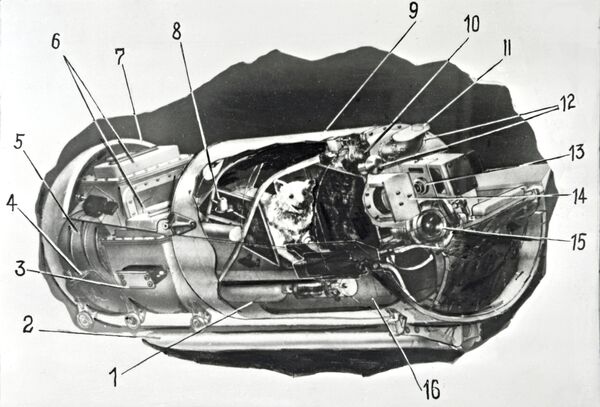 1960 йил 19 август – тарихда илк бор Ерга тирик қайтган жонзодлар иштирокидаги орбитал парвоз амалга оширилди.  - Sputnik Ўзбекистон
