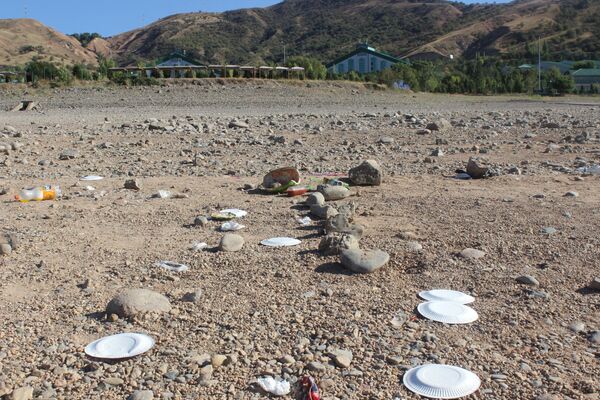 Приезжая на целый день, отдыхающие привозят еду с собой, а вот оставшийся мусор убирают далеко не все. После этого еще удивляются, почему на пляже так грязно. - Sputnik Узбекистан
