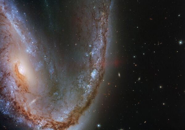 Искаженная галактика галактика NGC 2442 в созвездии Летучая Рыба - Sputnik Узбекистан