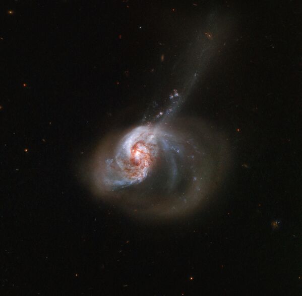 Галактика NGC 1614, находящаяся в 200 миллионах световых лет от Земли - Sputnik Узбекистан