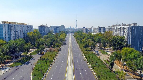 Обновленная улица имени Ахмада Дониша - Sputnik Узбекистан