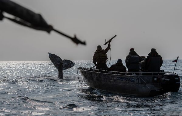Охота на кита в Беринговом проливе. - Sputnik Узбекистан