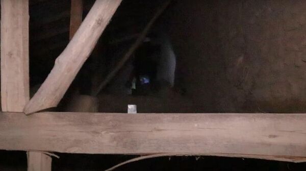 НЛО или Йети: неизвестный монстр пугает жителей Намангана - ответ хокимията - Sputnik Узбекистан