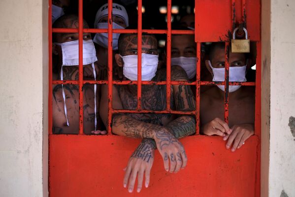 Члены банды во время пресс-показа в тюрьме Quezaltepeque в Сальвадоре  - Sputnik Узбекистан