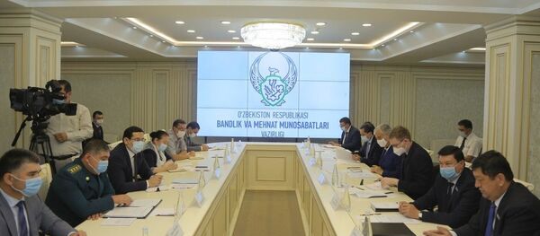 В Минтруде состоялось обсуждение проблем внешней трудовой миграции  В Минтруде состоялось обсуждение проблем внешней трудовой миграции  - Sputnik Ўзбекистон