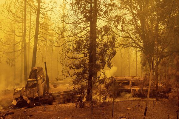 Lesnie pojari v Kalifornii, SShA - Sputnik O‘zbekiston