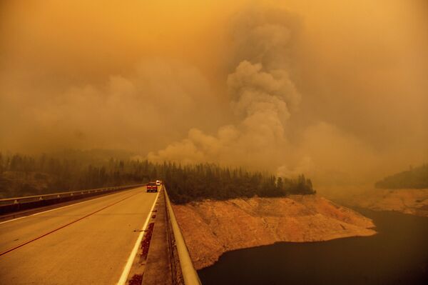 Лесные пожары в Калифорнии, США - Sputnik Узбекистан