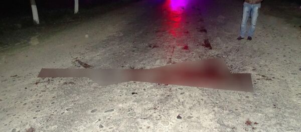 В Самаркандской области автомобиль сбил 20-летнего пьяного парня, лежавшего на дороге - Sputnik Ўзбекистон