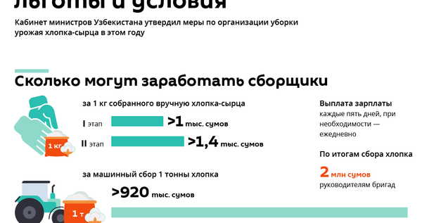 Сбор хлопка в 2020 году - расценки, льготы и условия труда - Sputnik Узбекистан