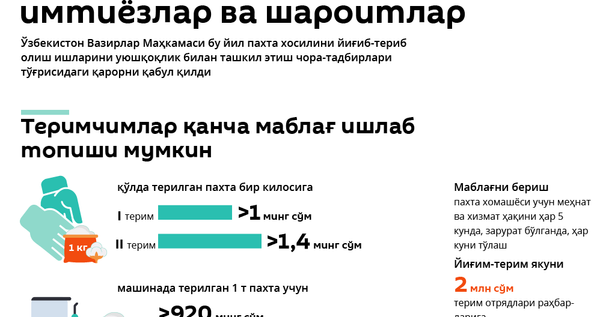 Пахта-2020: меҳнат ҳақи, имтиёзлар ва шарт-шароитлар - Sputnik Ўзбекистон
