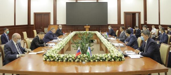 Встреча с представителями Правительства Российской Федерации во главе с заместителем Председателя Правительства А. Оверчуком Встреча с представителями Правительства Российской Федерации во главе с заместителем Председателя Правительства А. Оверчуком - Sputnik Ўзбекистон