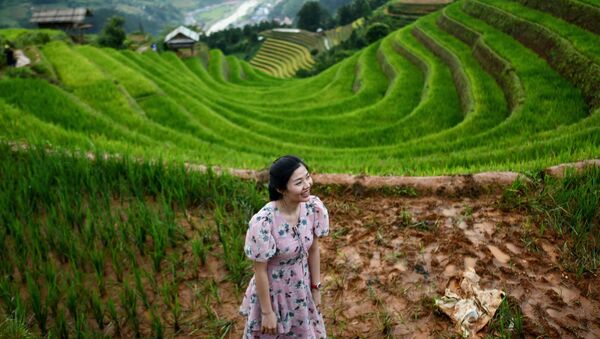 Девушка фотографируется на рисовых террасах в северо-восточной части Вьетнама - Sputnik Узбекистан