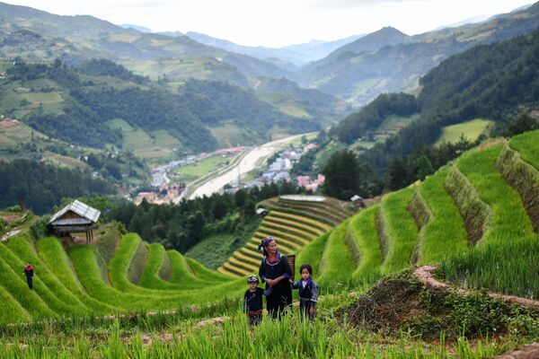 Представители этнической группы Hmong на рисовых террасах в северо-восточной части Вьетнама - Sputnik Узбекистан