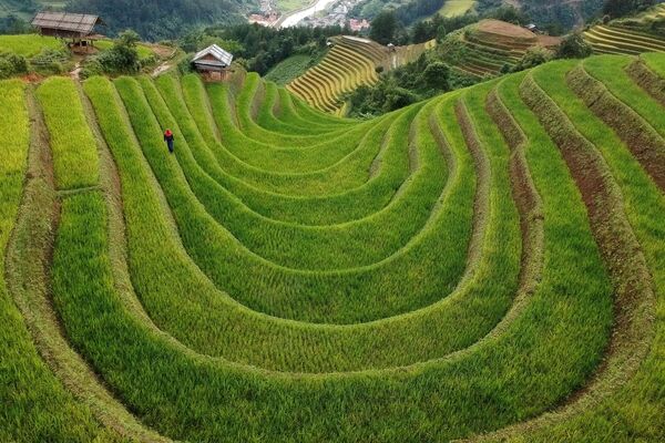 Вид на рисовые террасы в северо-восточной части Вьетнама - Sputnik Узбекистан