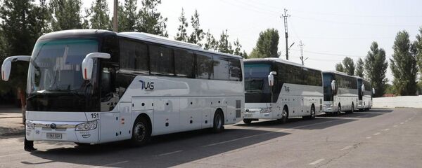 Автобусы Автобусы - Sputnik Ўзбекистон