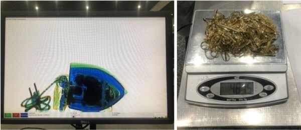 В аэропорту Ташкента таможенники нашли у пассажира золотой утюг - Sputnik Узбекистан