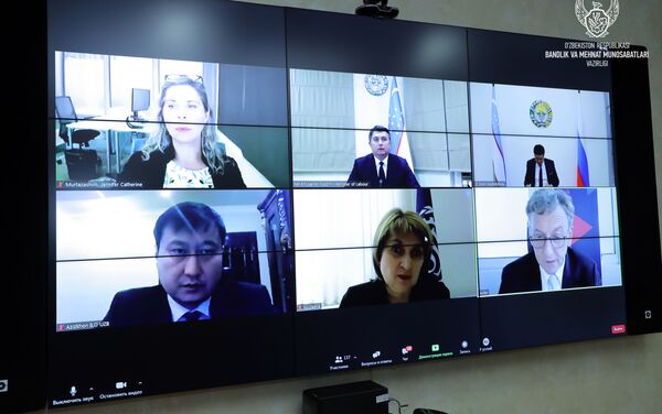 Эксперты — участники онлайн-конференции - Sputnik Узбекистан