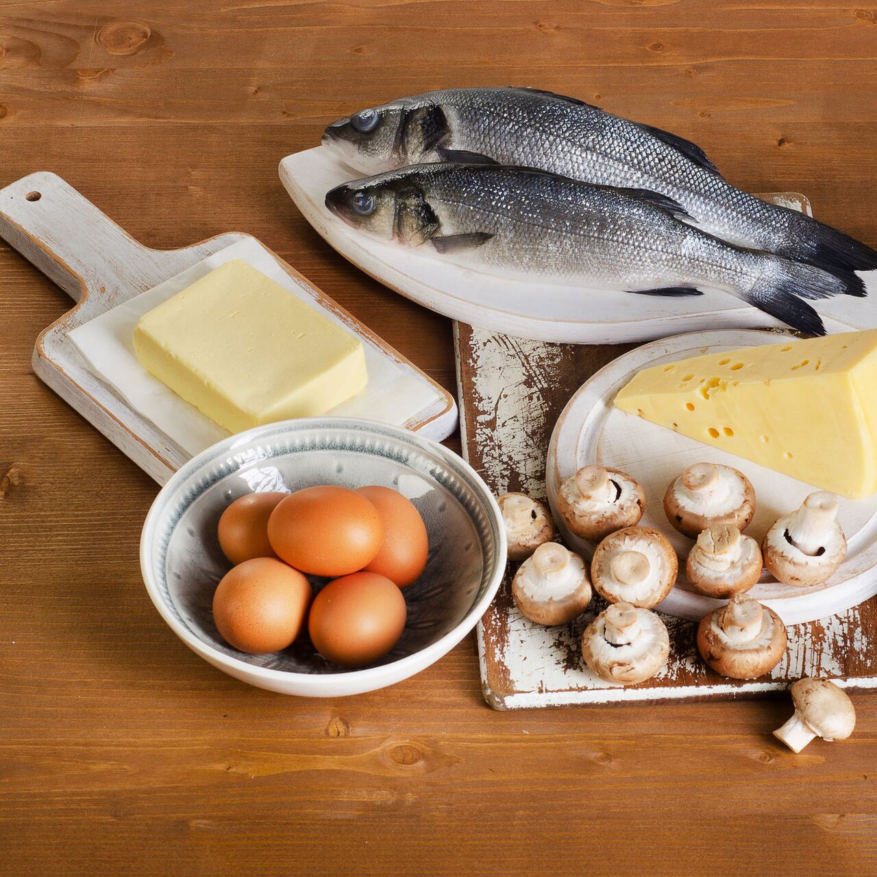 Juda katta dumba va mushuklar seks videolar